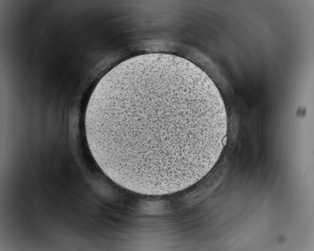X0000103910202200810311440
