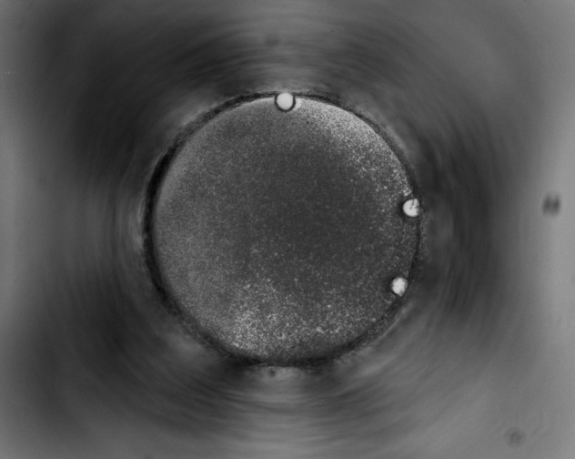 X0000103910203200810311440