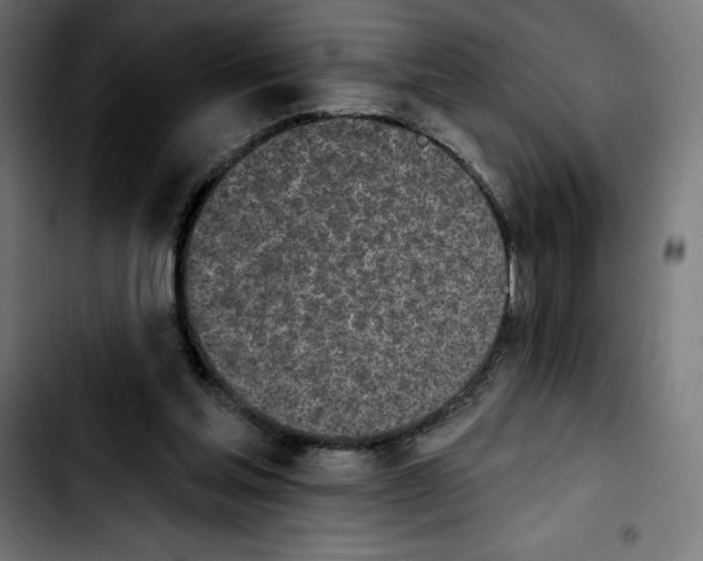 X0000103910205200810311440