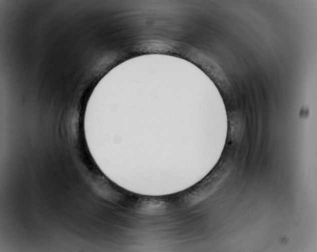 X0000103910206200810311440