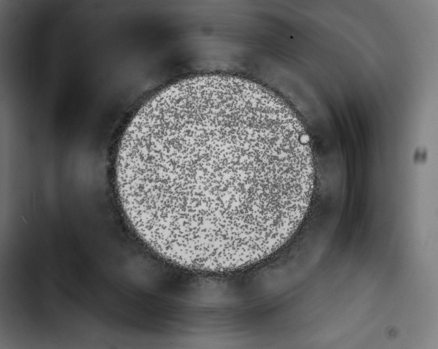 X0000103910207200810311440