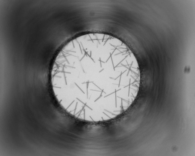 X0000103910208200810311440