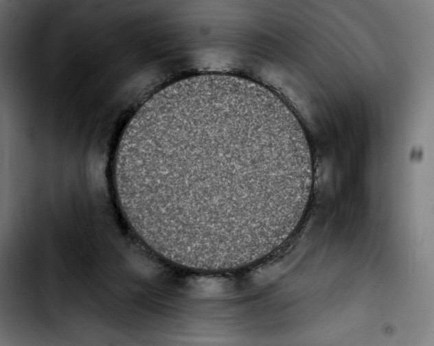 X0000103910209200810311440