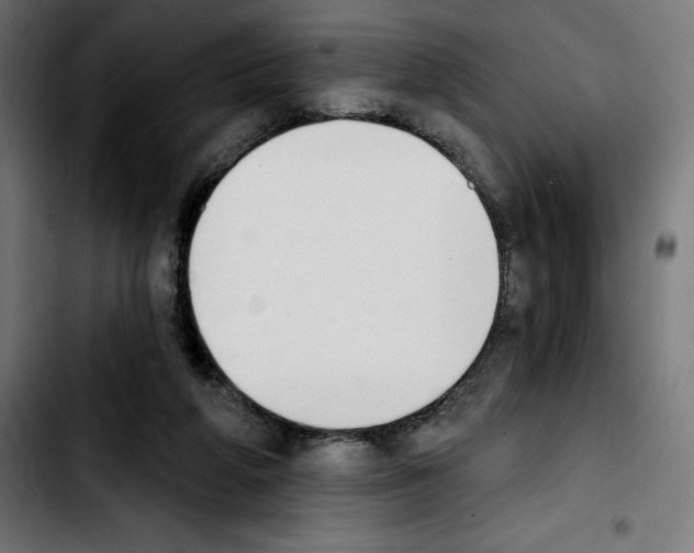 X0000103910210200810311440