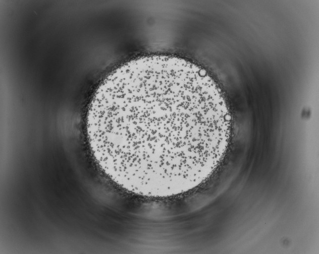 X0000103910211200810311440