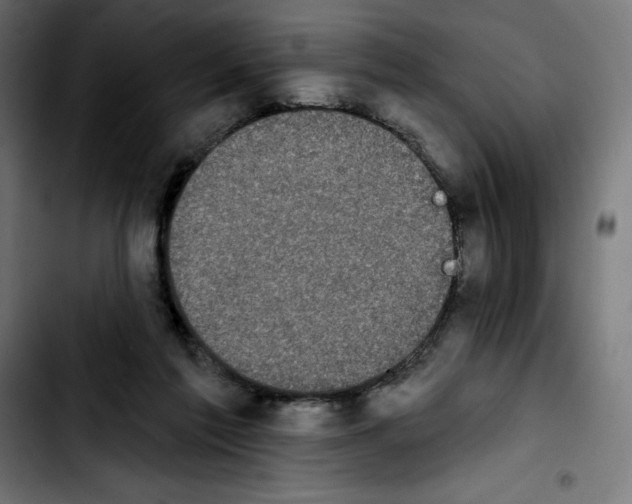 X0000103910213200810311440