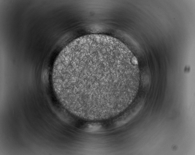 X0000103910214200810311440