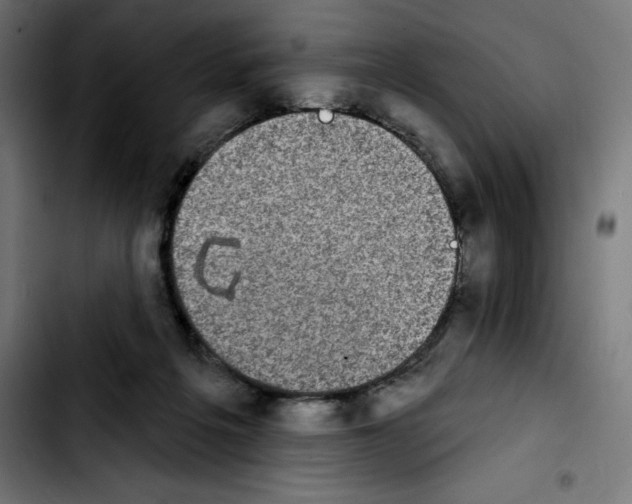 X0000103910217200810311440