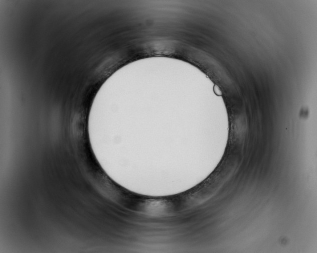X0000103910218200810311440