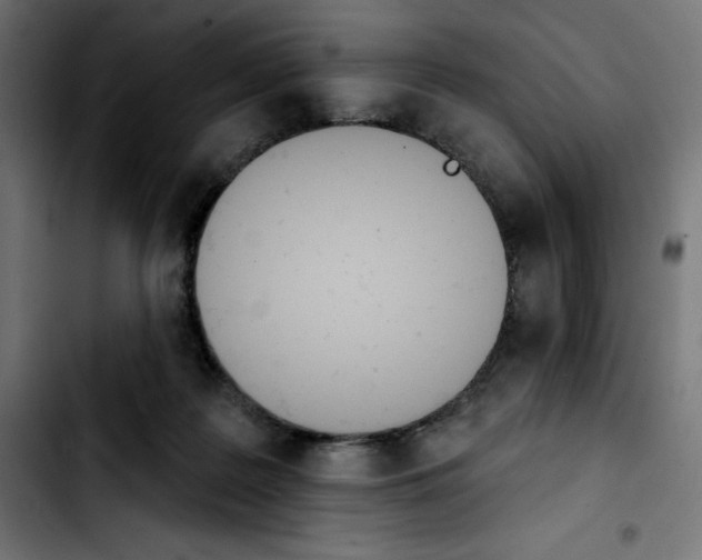 X0000103910219200810311439