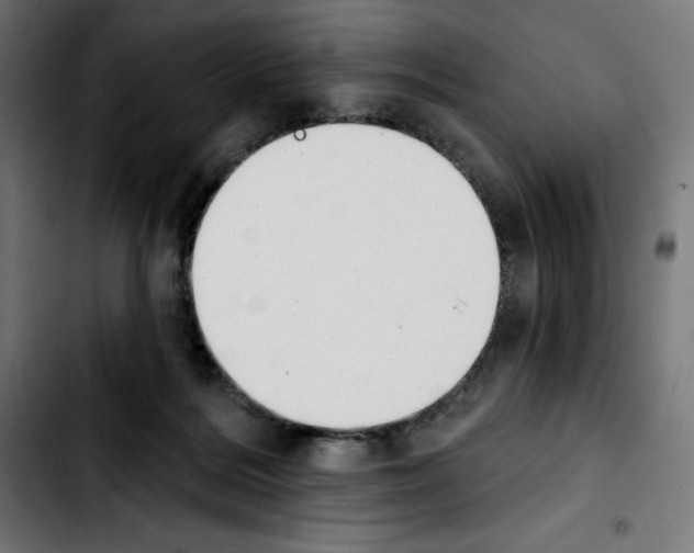 X0000103910220200810311439