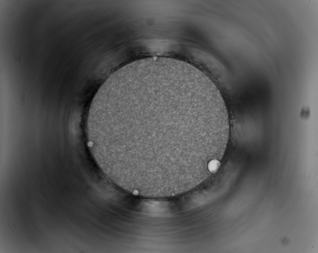 X0000103910221200810311439