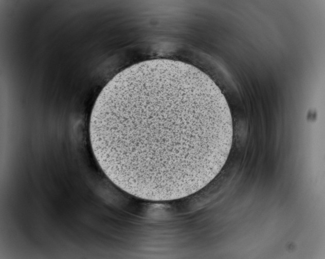X0000103910222200810311439