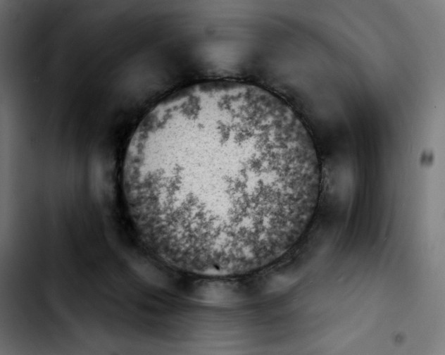 X0000103910223200810311439
