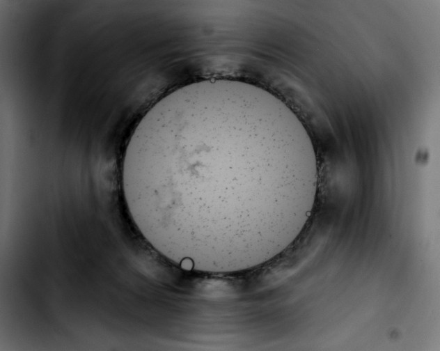 X0000103910224200810311439