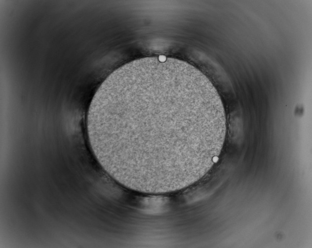 X0000103910225200810311439