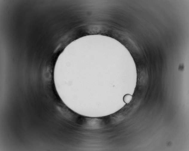 X0000103910226200810311439