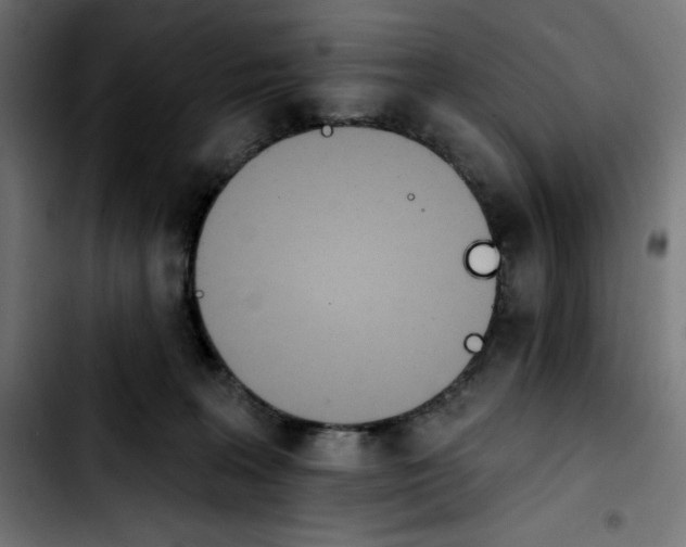 X0000103910227200810311439