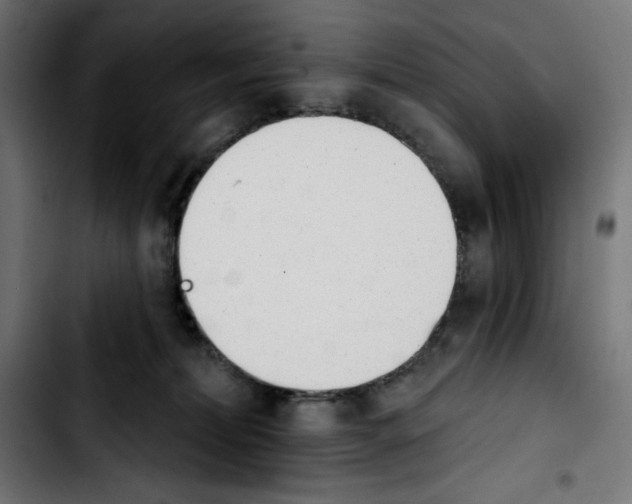 X0000103910228200810311439