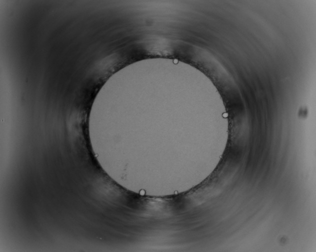 X0000103910229200810311439