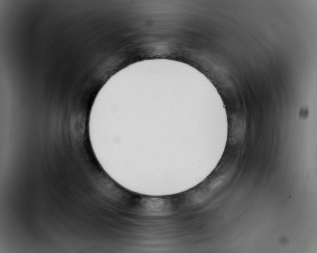 X0000103910230200810311439
