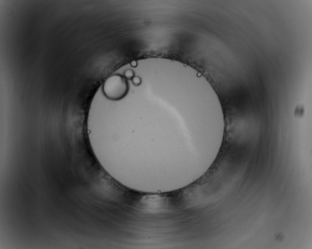 X0000103910231200810311439