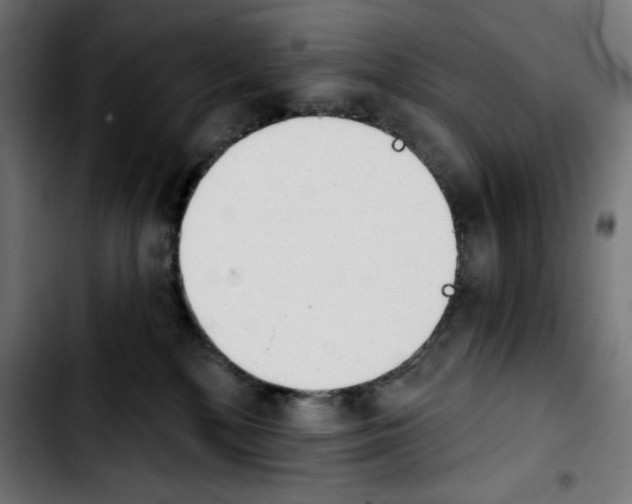 X0000103910232200810311439