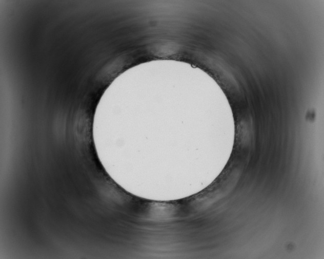 X0000103910234200810311439