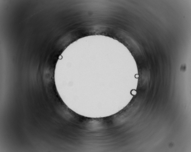 X0000103910236200810311439