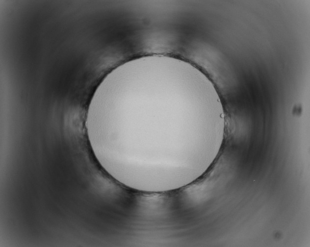 X0000103910237200810311439