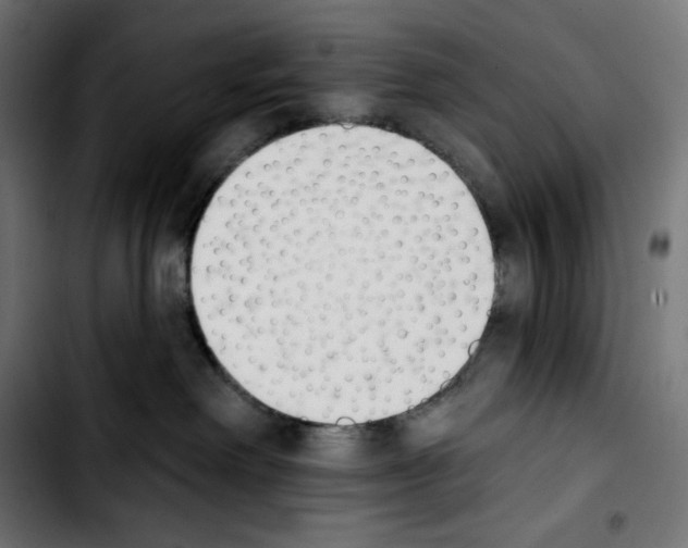 X0000103910238200810311439