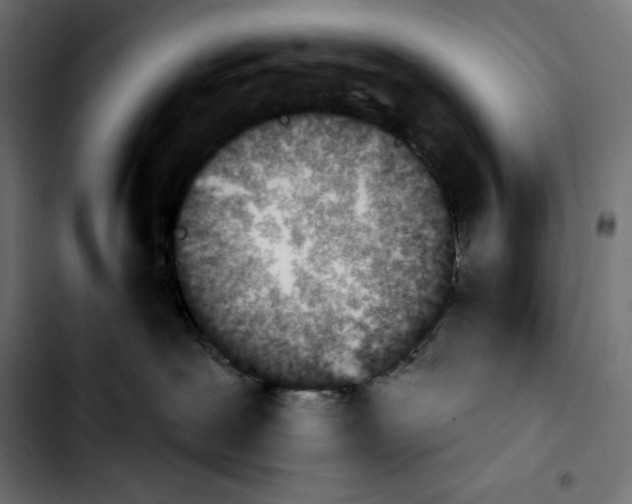 X0000103910239200810311439