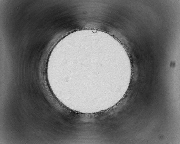 X0000103910241200810311439