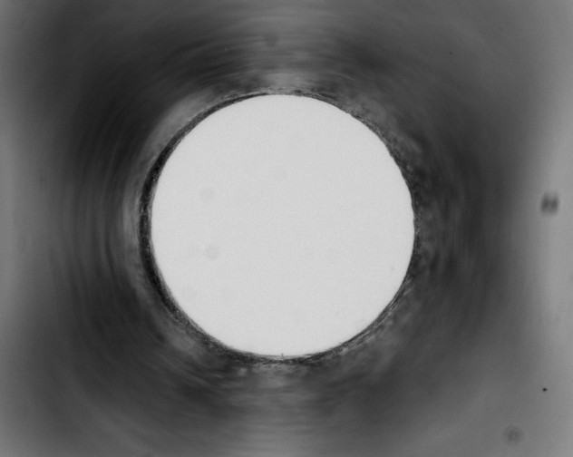 X0000103910242200810311439