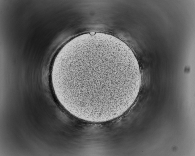 X0000103910243200810311439
