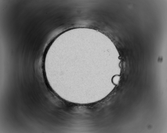 X0000103910244200810311439
