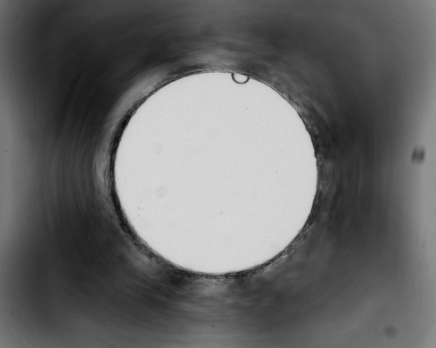 X0000103910245200810311439
