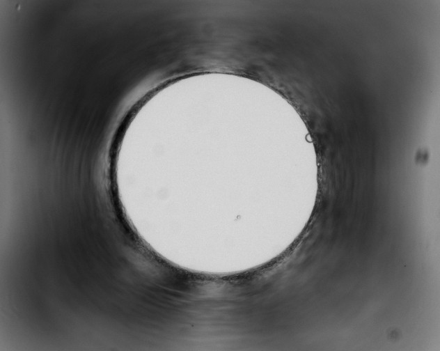 X0000103910246200810311439