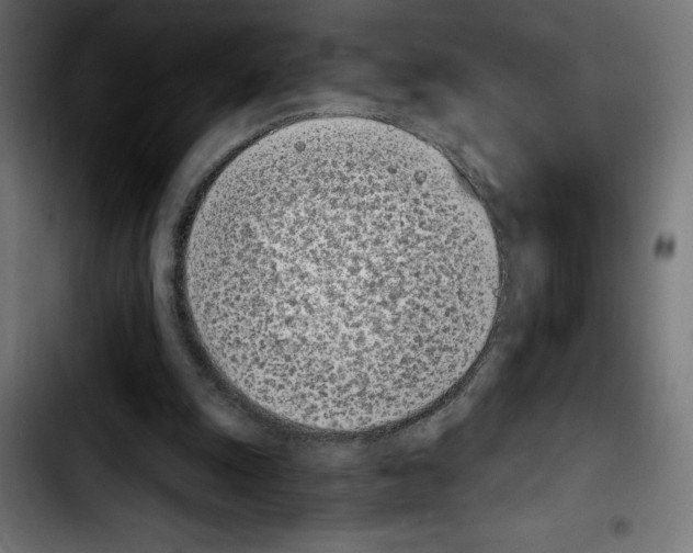 X0000103910247200810311439