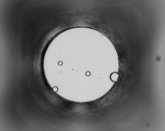 X0000103910248200810311439