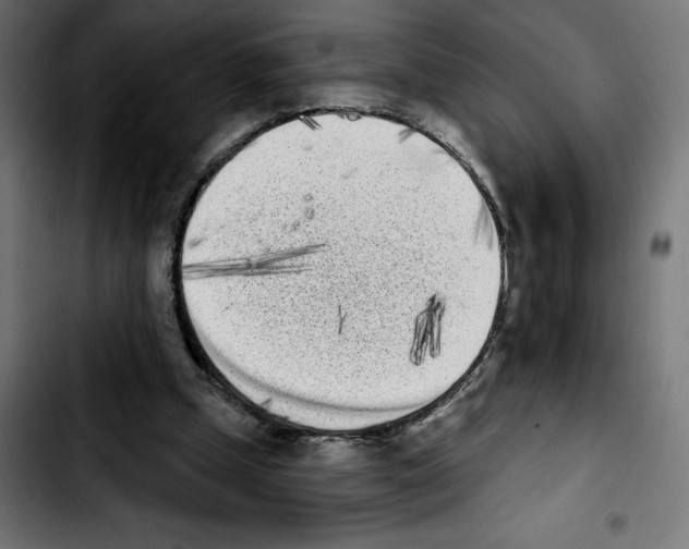 X0000103910249200810311439