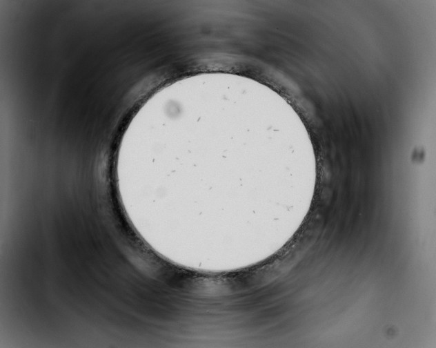 X0000103910250200810311439