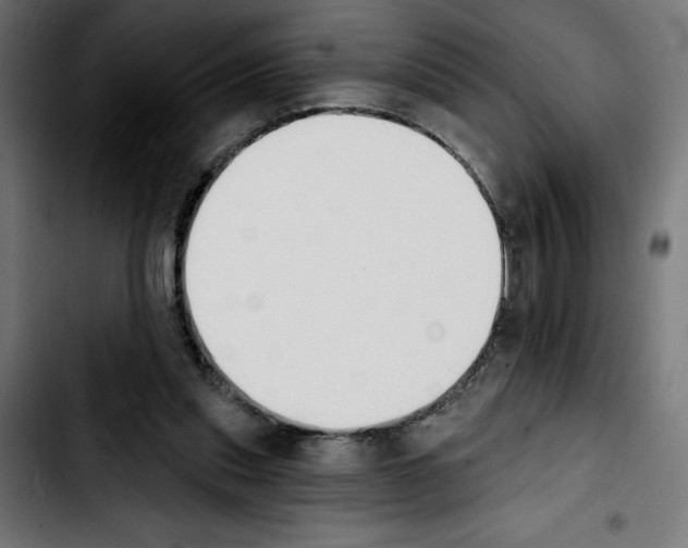 X0000103910253200810311439