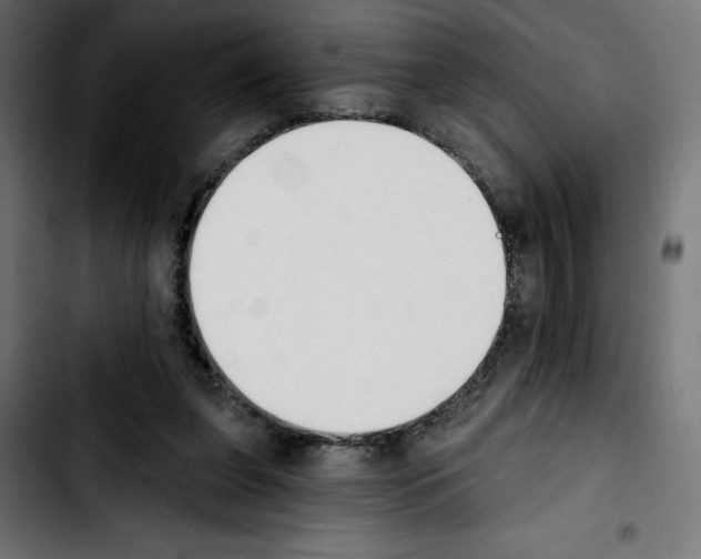 X0000103910255200810311439