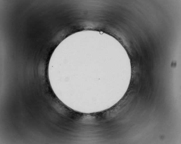 X0000103910257200810311439