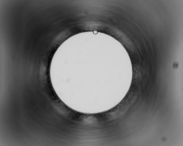 X0000103910258200810311439