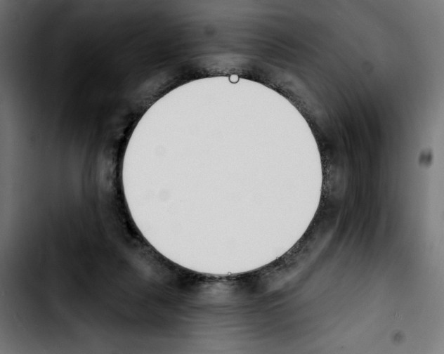 X0000103910259200810311439