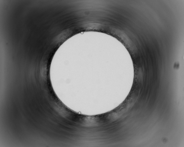 X0000103910261200810311439