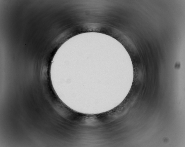 X0000103910262200810311439