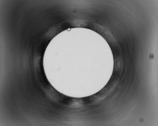 X0000103910263200810311439